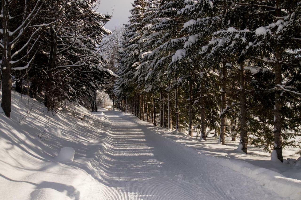 Отель Alpenperle Обштайг Экстерьер фото
